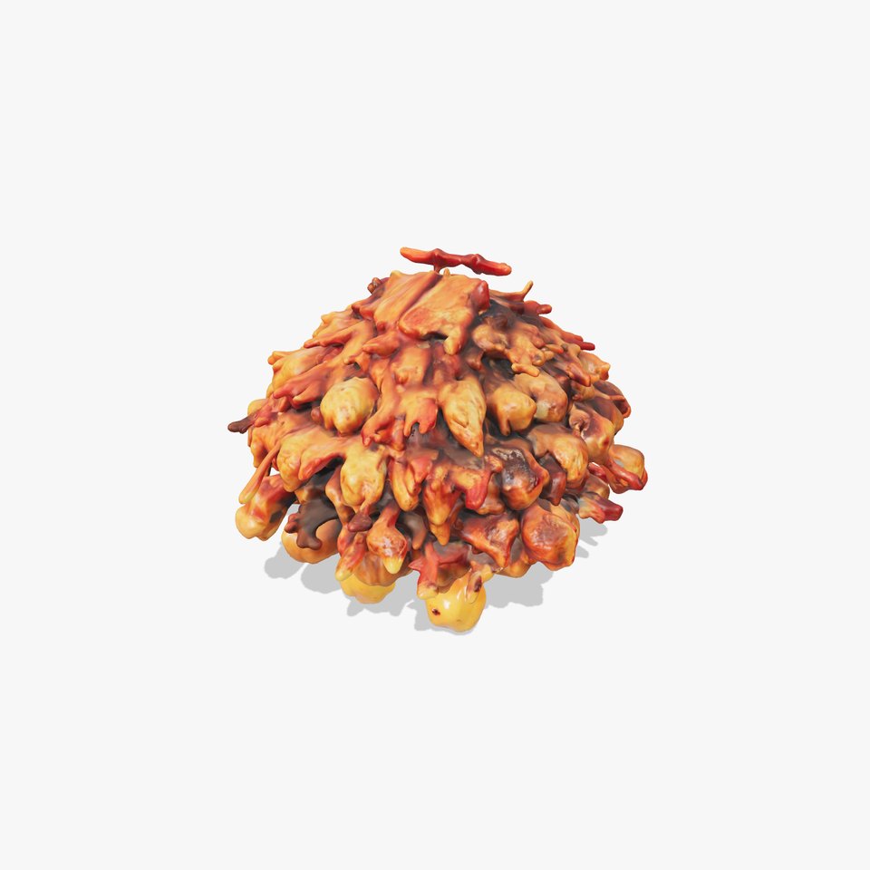 Mushroom Cuisine Model Pack